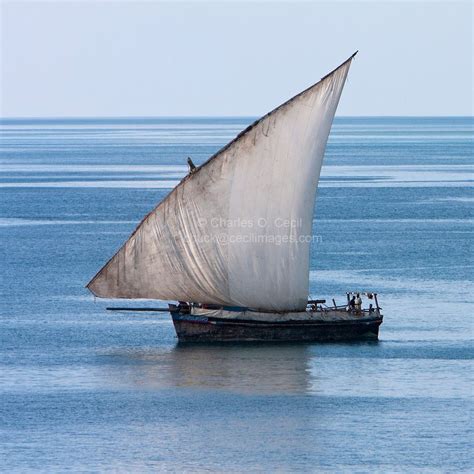 The Tnt Witch Dhow: From Fishing Boat to Tourist Attraction